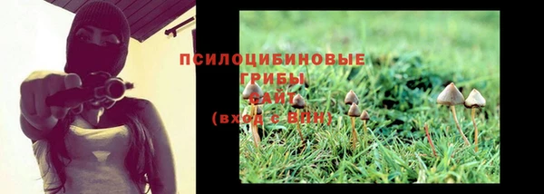гашиш Магас
