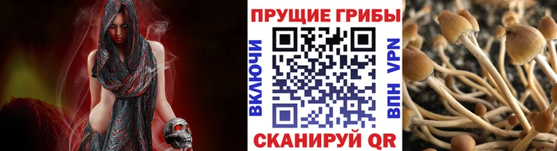 Псилоцибиновые грибы ЛСД  Купить закладки  Чаплыгин 